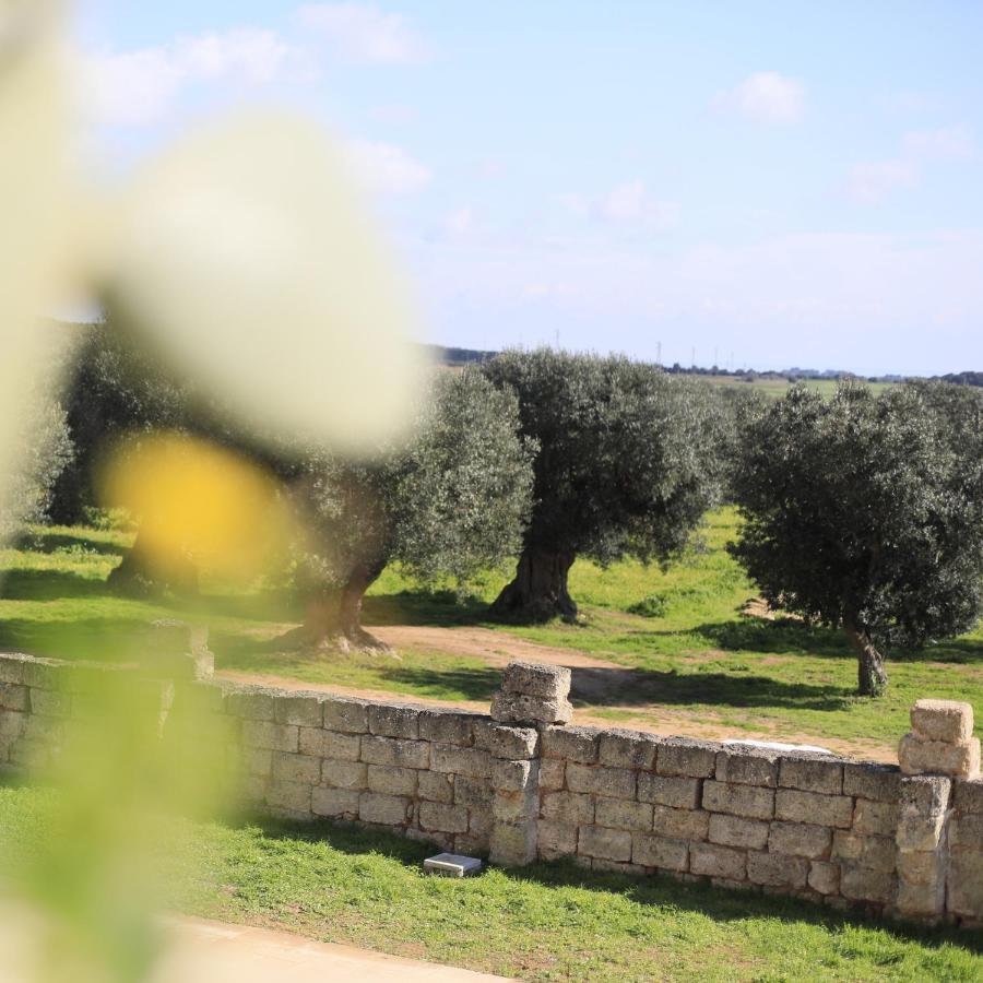 Masseria Cuturi Villa Manduria Luaran gambar